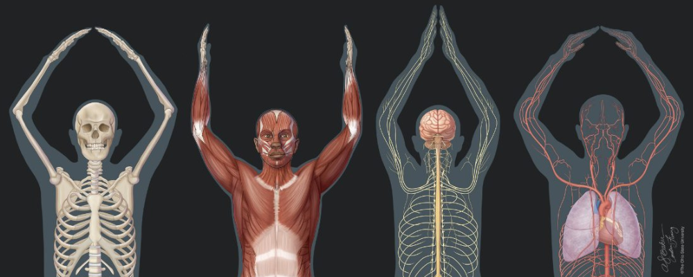 アート・デザイン・音楽 Masterpieces of Medical Photography To me